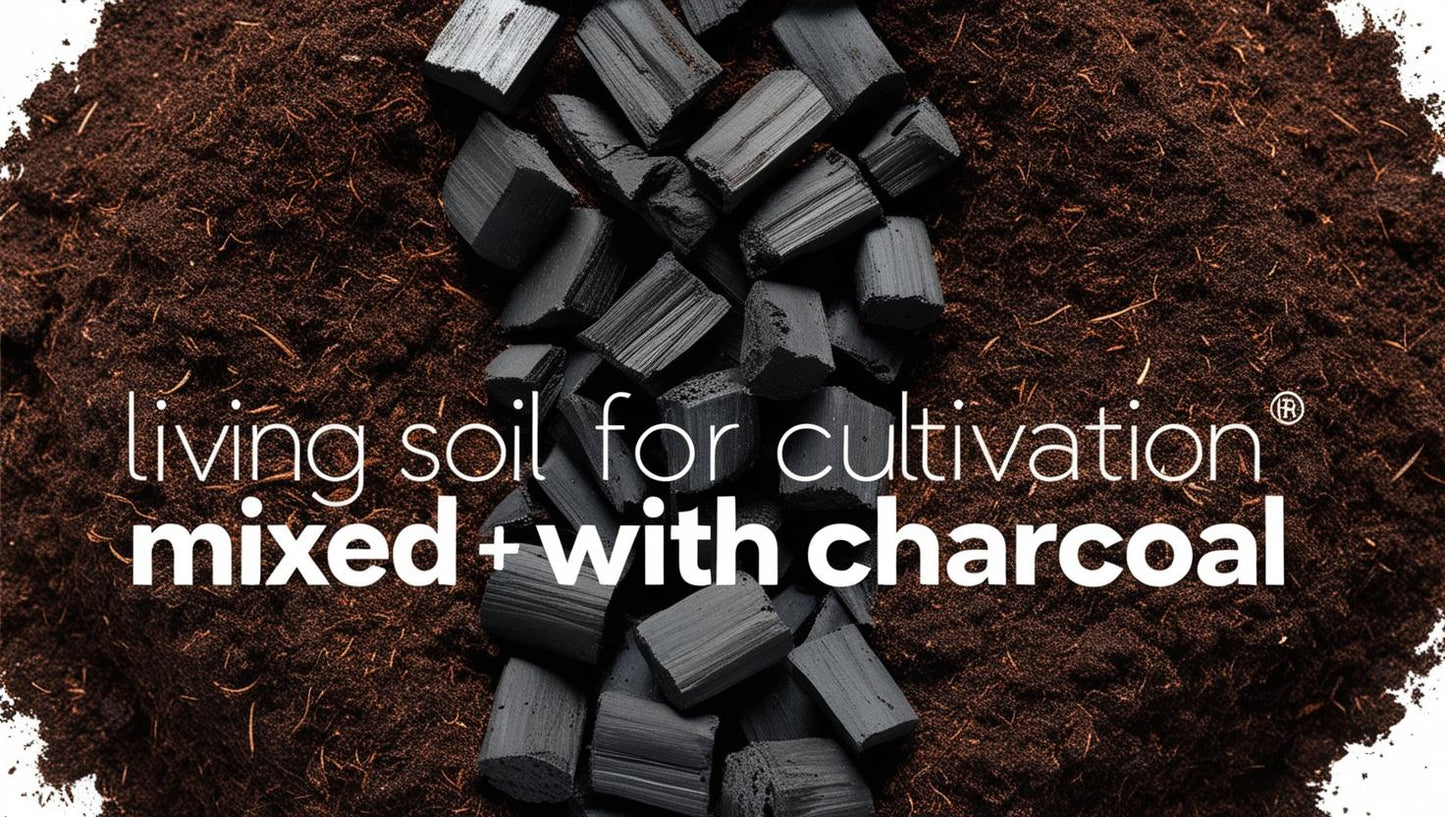 Living Soil Premium 25L 10% Mycrohitza