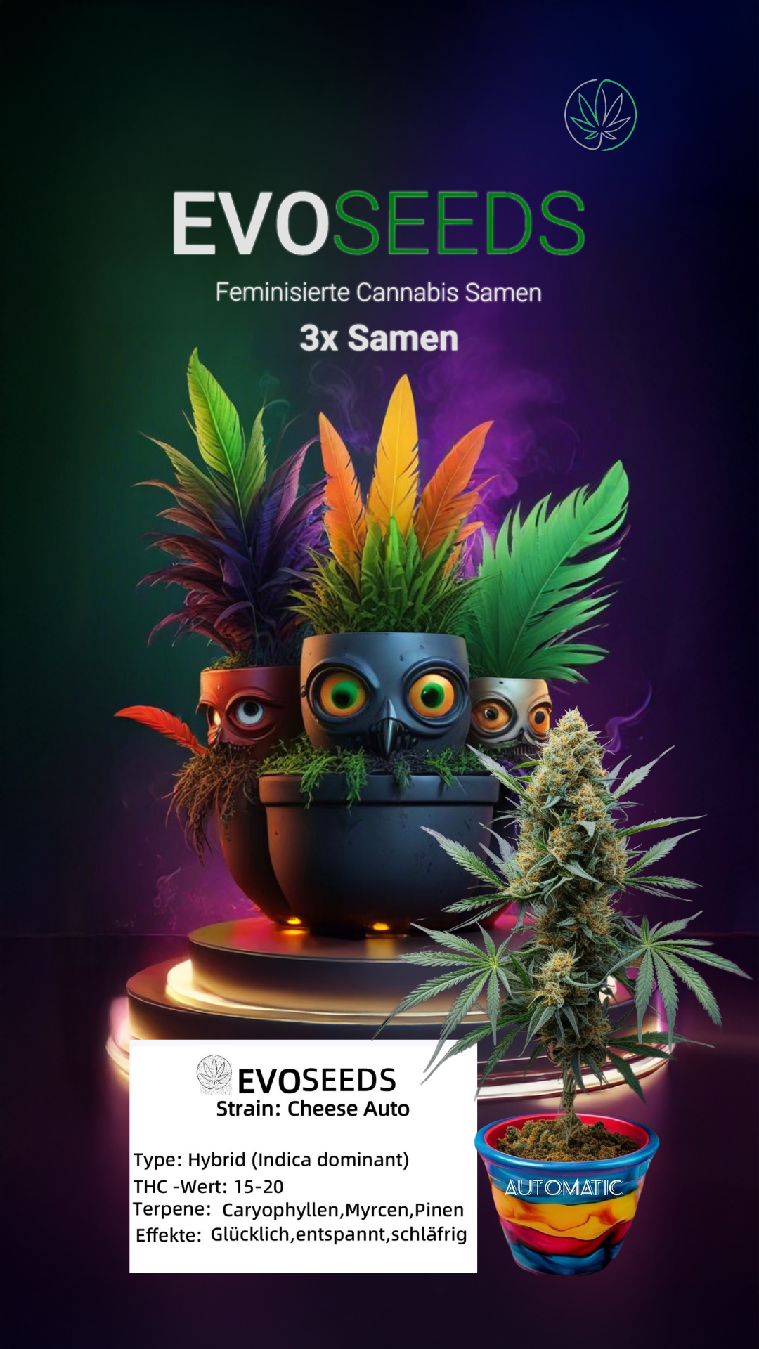 3 x Evo Seeds Blue Cheese Auto