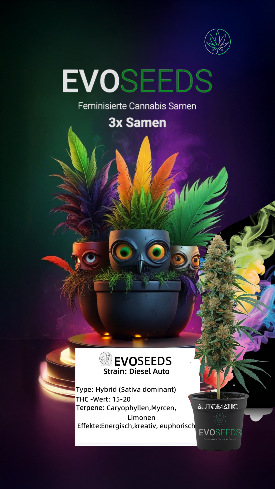 3 x Evo Seeds Diesel Auto