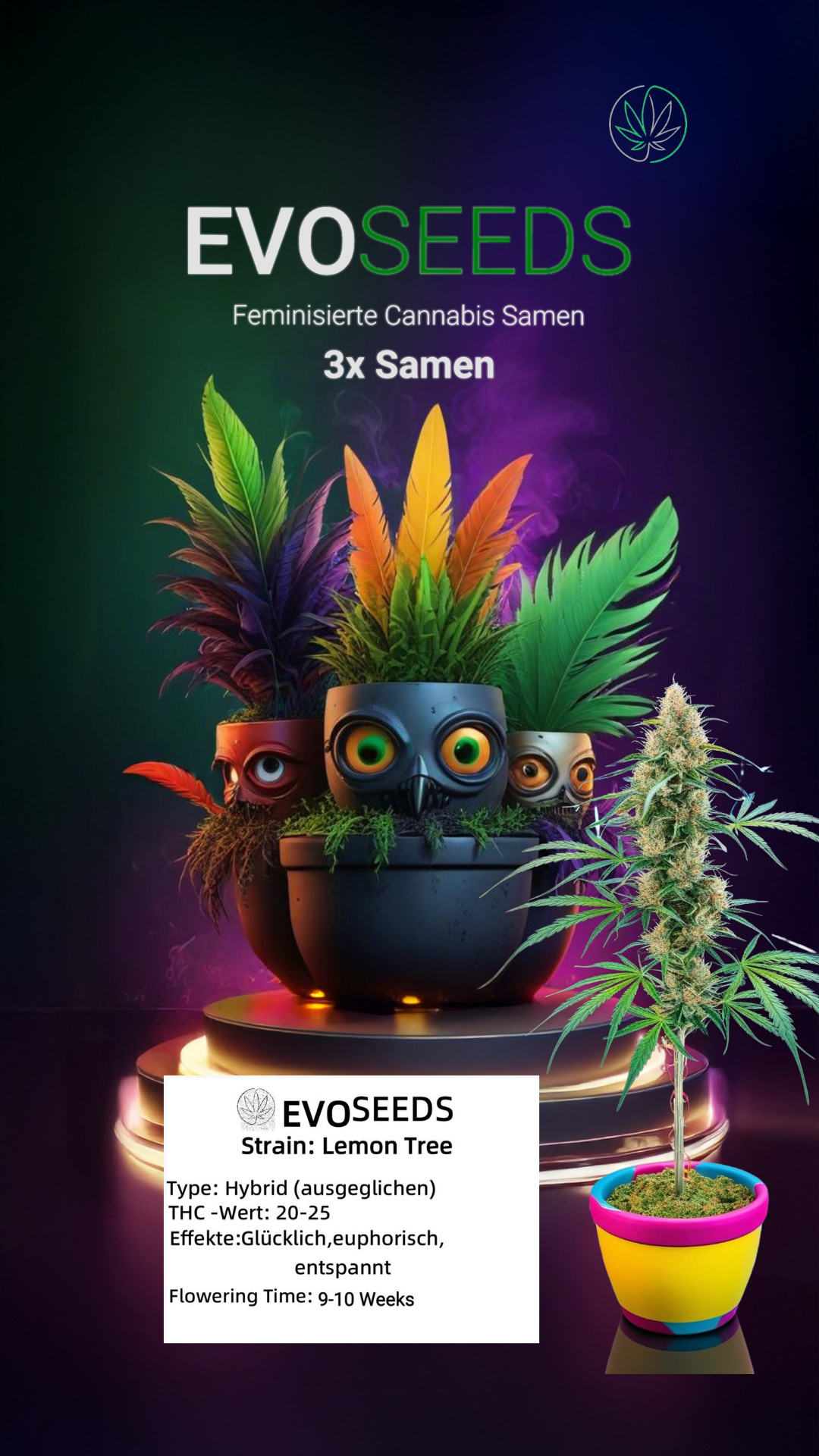 3 x Evo Seeds Lemon Tree