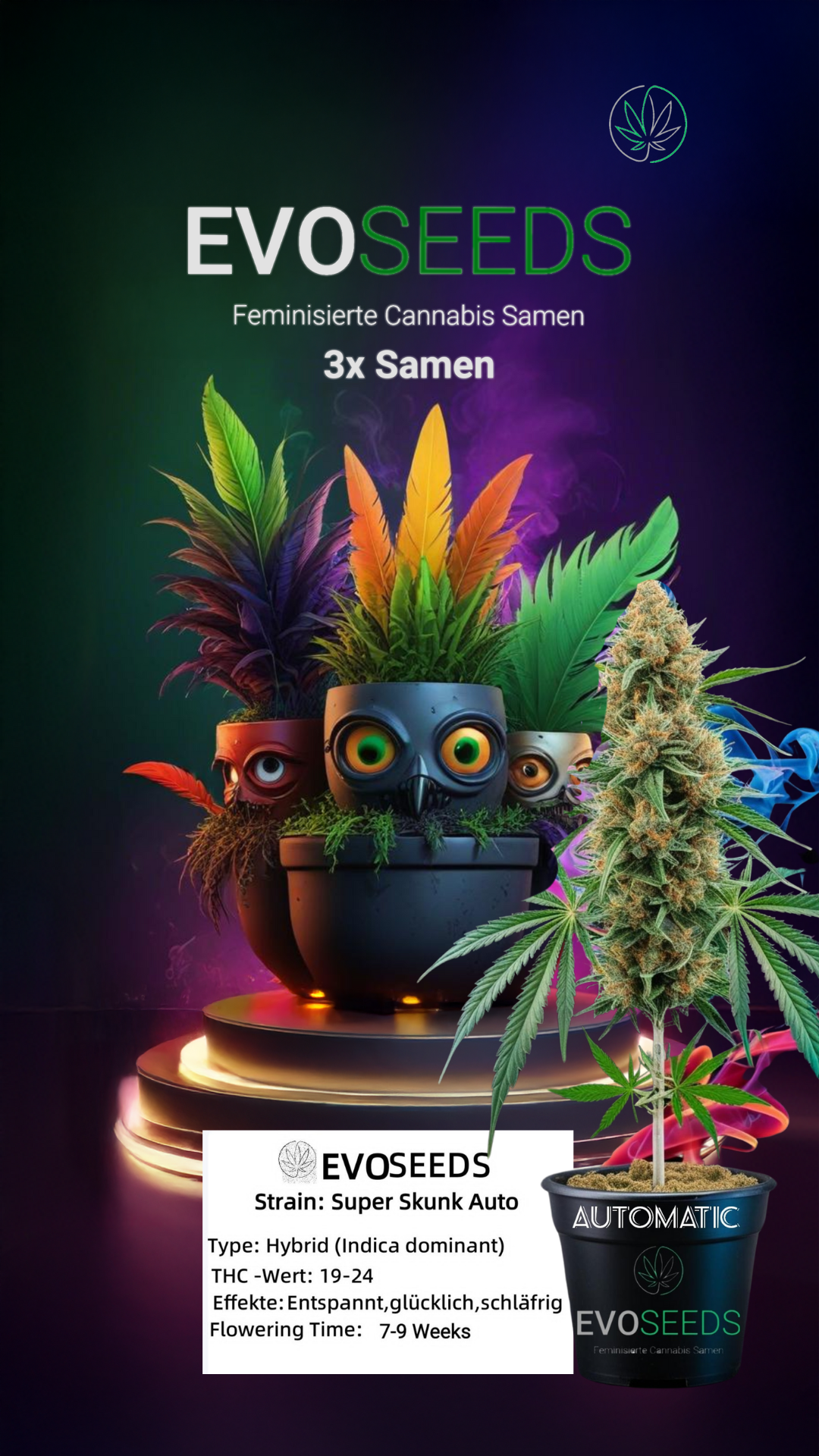 3 x Evo Seeds Super Skunk Auto