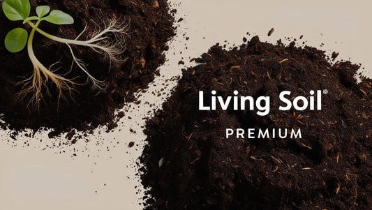 Living Soil Premium 25L                   10% Mycrohitza