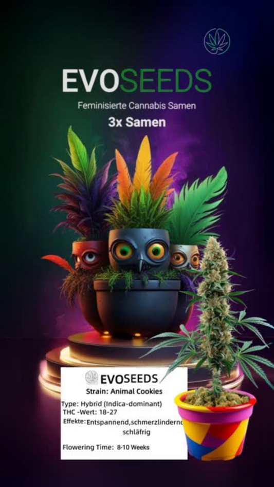3 x Evo Seeds Animal Cookies