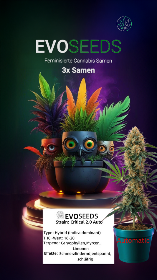 Critical Auto