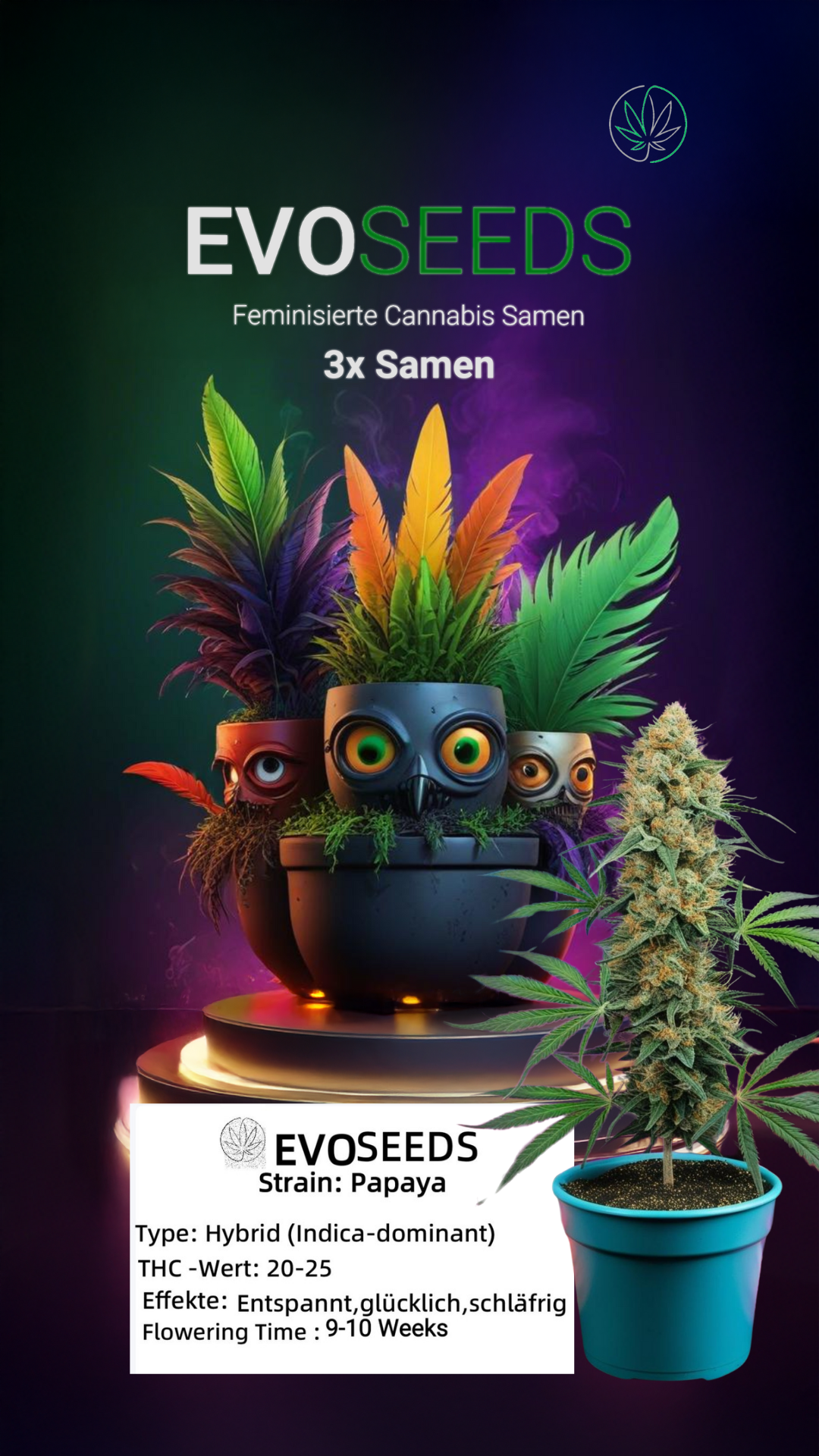 3 x Evo Seeds Papaya